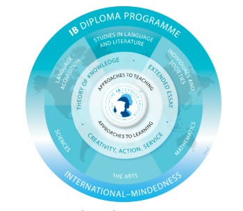 IB Wheel