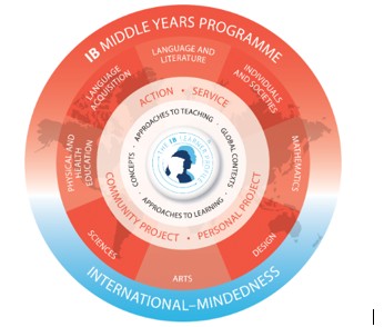 MYP Wheel